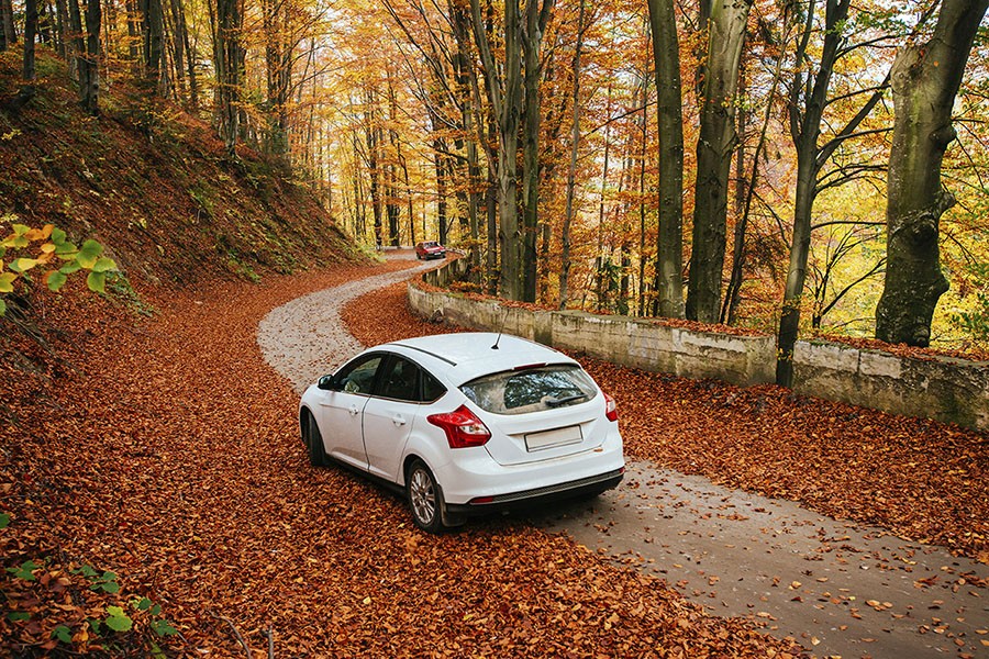 Rentalcars Com