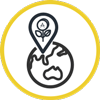 Travel Insurance